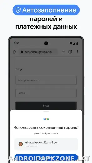 Google Chrome скриншот 6